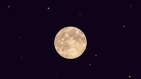 LANDLOCK Project Wild