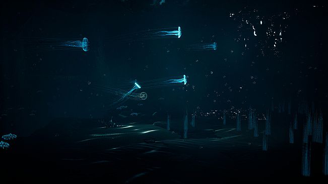 JELLYFISH