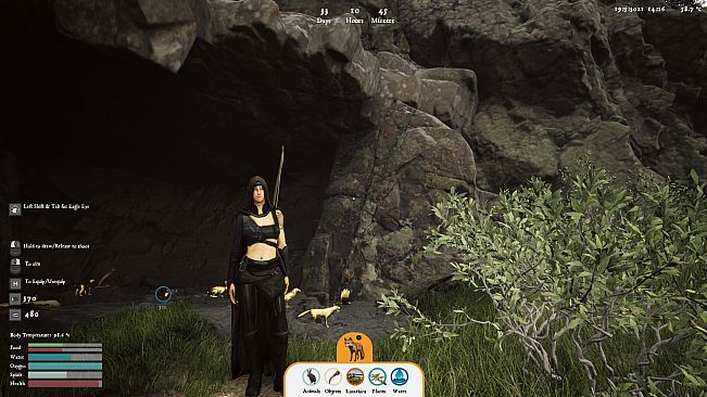 FIRE The First Dreamer