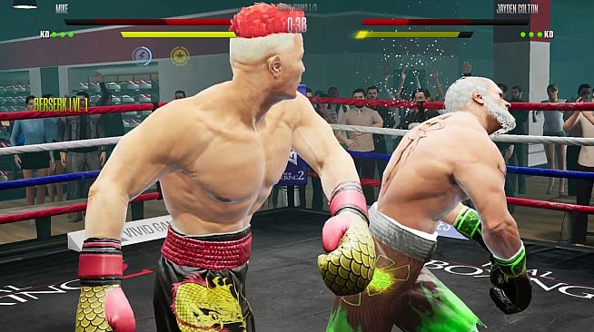 Real Boxing 2: Remastered - Masaru DLC