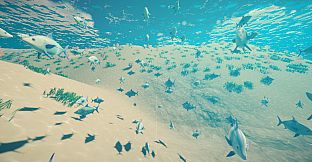 My Little Ocean