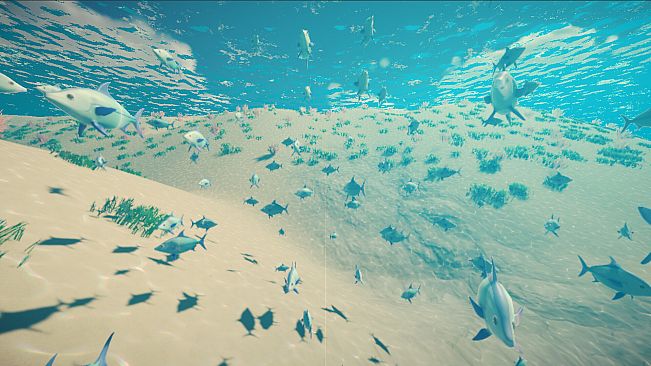 My Little Ocean