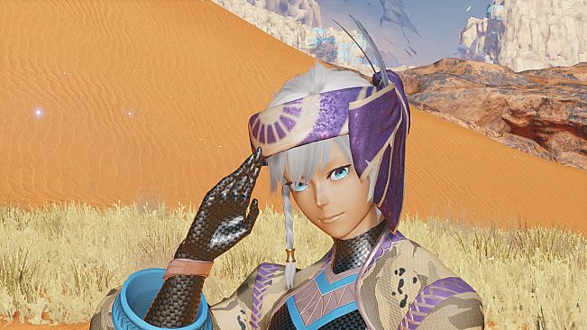 PSO2:NGS - Fiery Dunes Retem/Type 1 Pack