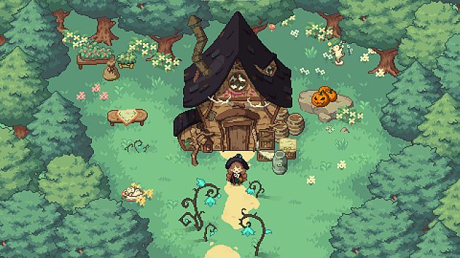 Little Witch in the Woods (Game Preview)