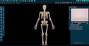 Vesalii Anatomy 3D Student