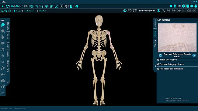 Vesalii Anatomy 3D Student