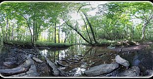 Exhale XR - Belonging - Spoken Word