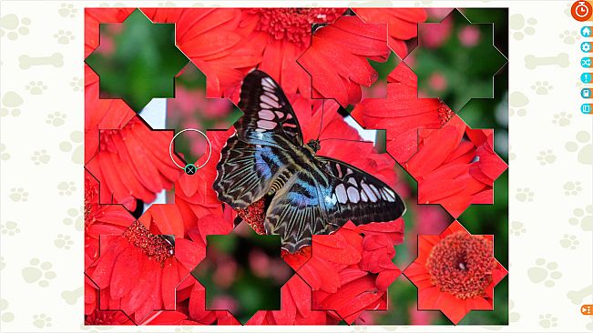 Puzzle Escapes: Paws & Claws