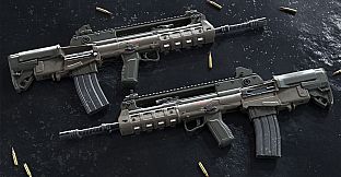 Insurgency: Sandstorm - Two-Tone Weapon Skin Set