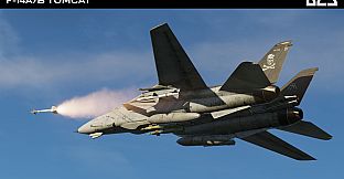 DCS: F-14A/B Tomcat by Heatblur Simulations