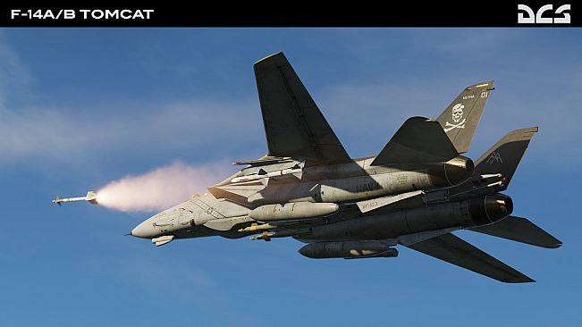DCS: F-14A/B Tomcat by Heatblur Simulations