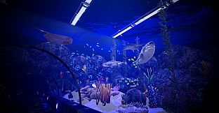 Aquarium Anomaly