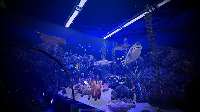 Aquarium Anomaly
