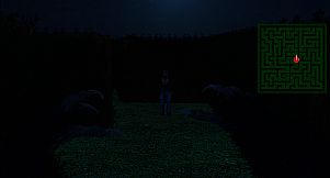 Nightmare Labyrinth