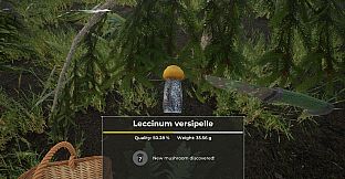 Mushroom Hunter World