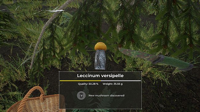 Mushroom Hunter World