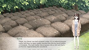 Beneath The Cherry Blossom Tree