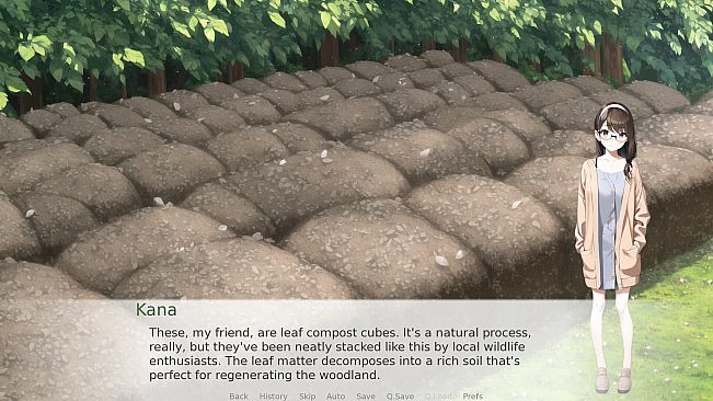 Beneath The Cherry Blossom Tree