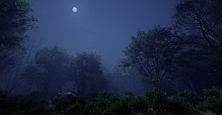 As the Sky Fades