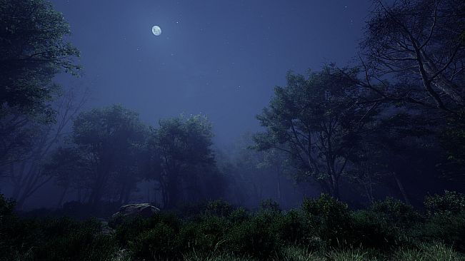 As the Sky Fades
