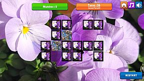 OG Memory: Spring 2K24