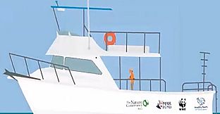 Find the Whales: Español