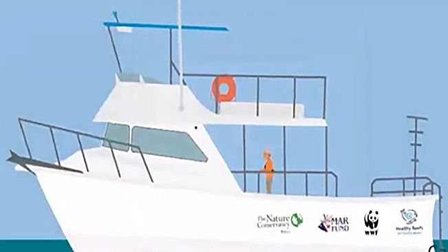 Find the Whales: Español