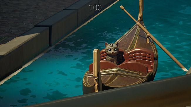 Hidden Cats Invade Venice