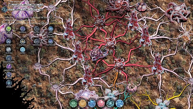 Mycelium Conquest: Mitosis