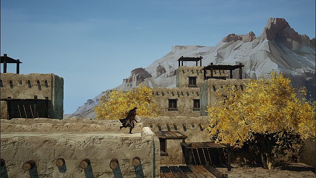 the Shadow of Swallow