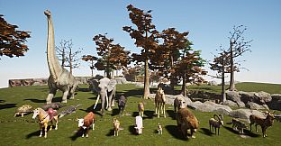 Yag - General Content