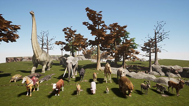 Yag - General Content