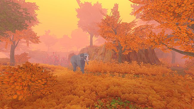 The Wild Eternal