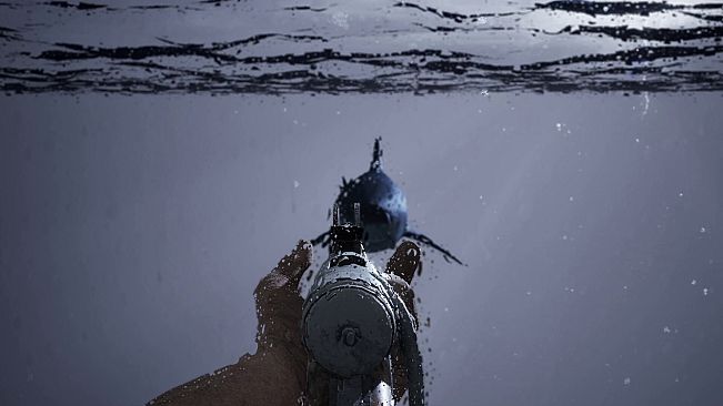 Open Waters