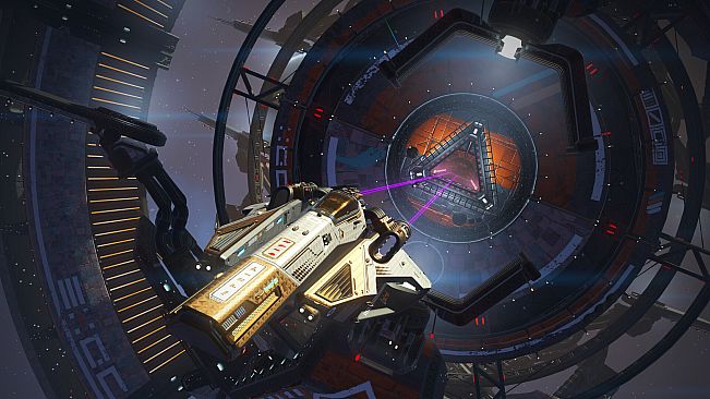 Starborn Phoenix Ship