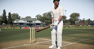 Don Bradman Cricket 17