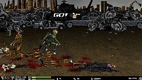 Crazy Flasher Series 2021