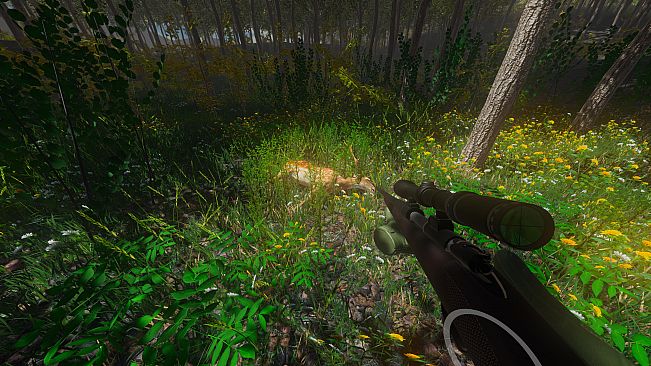 Hunter Simulator VR : Wild Hunting
