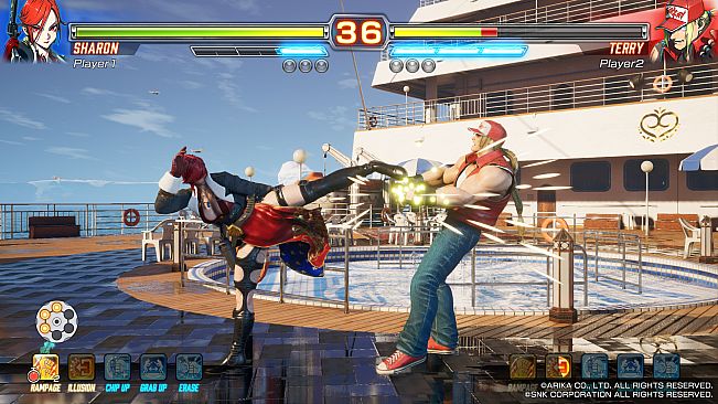 FIGHTING EX LAYER