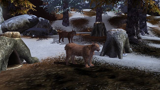 Wildilfe Park 3 - Alaska