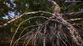 Resilience Wave Survival