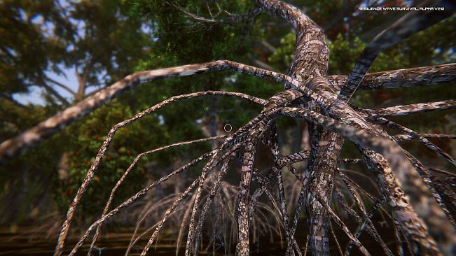 Resilience Wave Survival