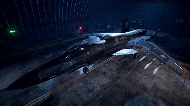 ACE COMBAT7: SKIES UNKNOWN – ASF-X Shinden II Set