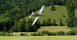 RealFlight Evolution - E-flite P-51D Mustang 1.5m Big Beautiful Doll