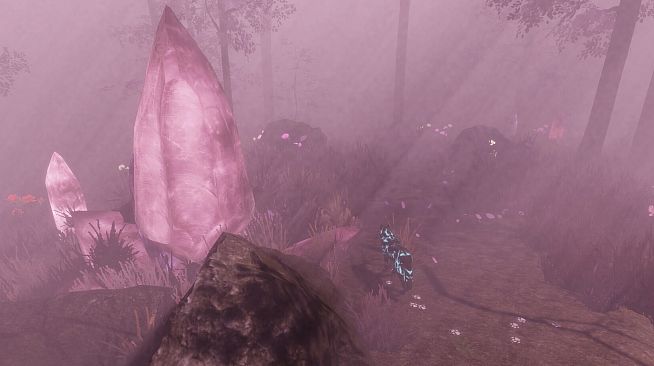 Daemon: The Wolf, The Witch, and the Labyrinth