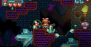 Farlands Journey (Windows)