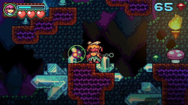 Farlands Journey (Windows)