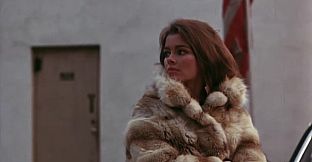 ROUGH KUTS: Silent Night, Bloody Night