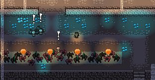 My Necromancer's Library