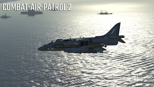 Combat Air Patrol 2: Military Flight Simulator